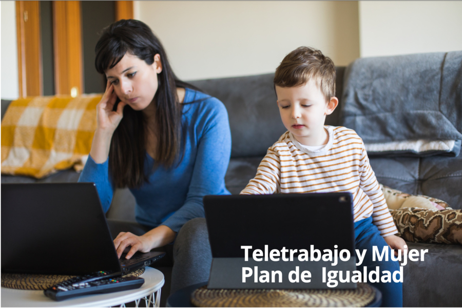 Teletrabajo y mujer en el grupo signe