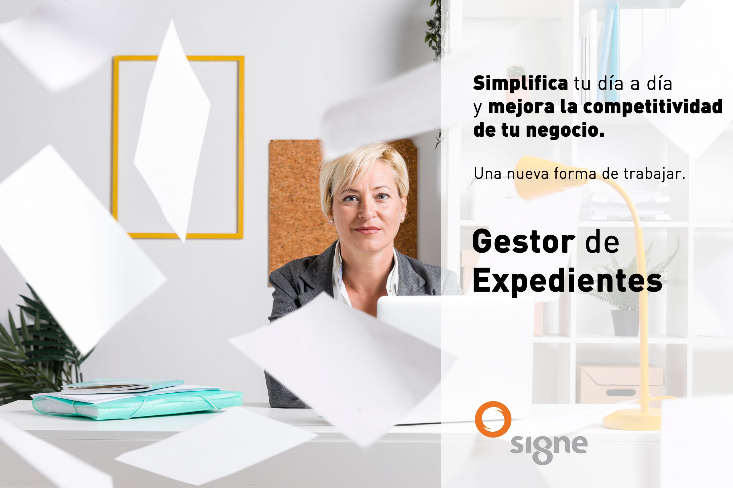 Gestor de expedientes